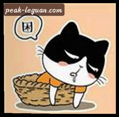 投资经理 刘姐
